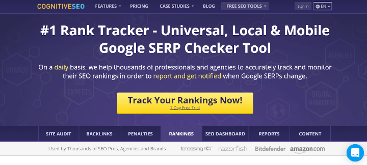 CognitiveSEO-Rank-Tracker-Tools